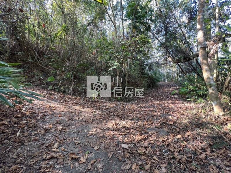 中寮低總價山坡地房屋室內格局與周邊環境