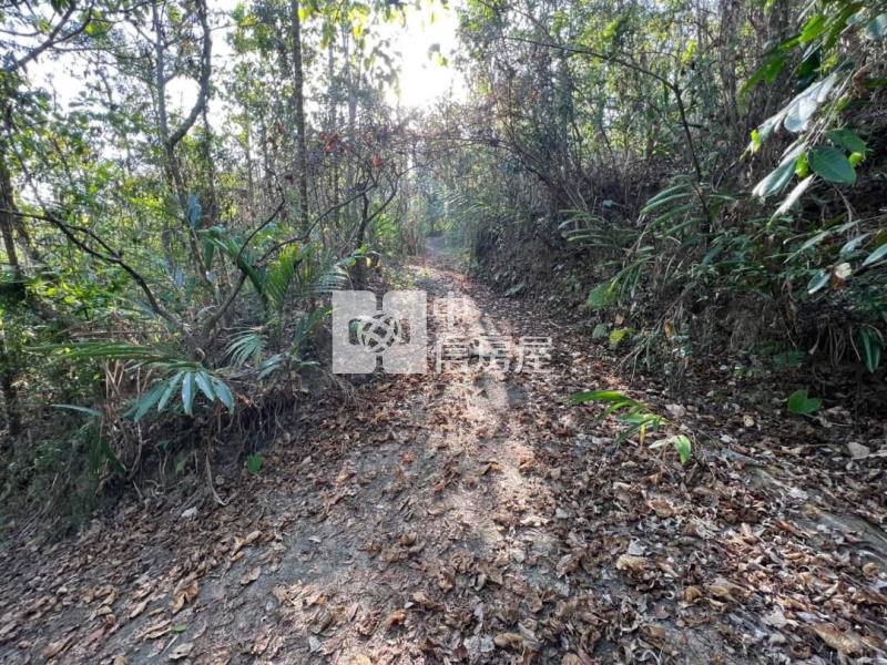 中寮低總價山坡地房屋室內格局與周邊環境