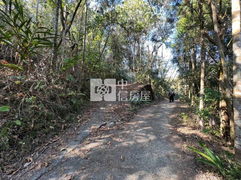 中寮低總價山坡地房屋室內格局與周邊環境