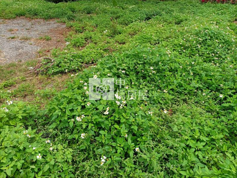 D206礁溪溫泉地房屋室內格局與周邊環境
