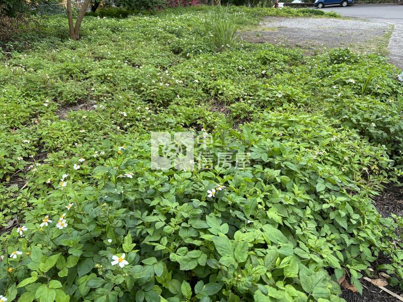 D206礁溪溫泉地房屋室內格局與周邊環境
