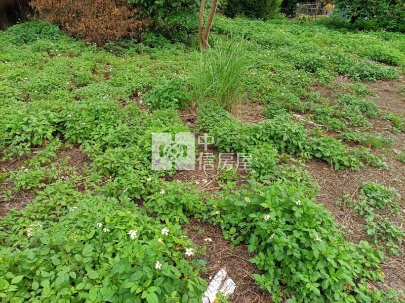 D206礁溪溫泉地房屋室內格局與周邊環境