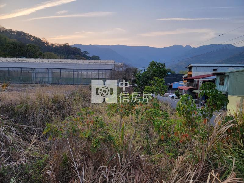 國姓丙建333房屋室內格局與周邊環境