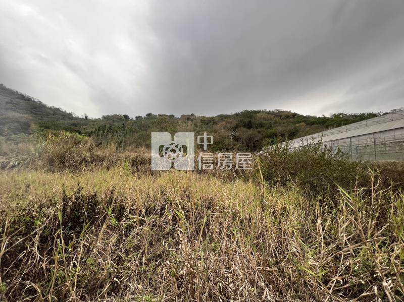 國姓丙建333房屋室內格局與周邊環境