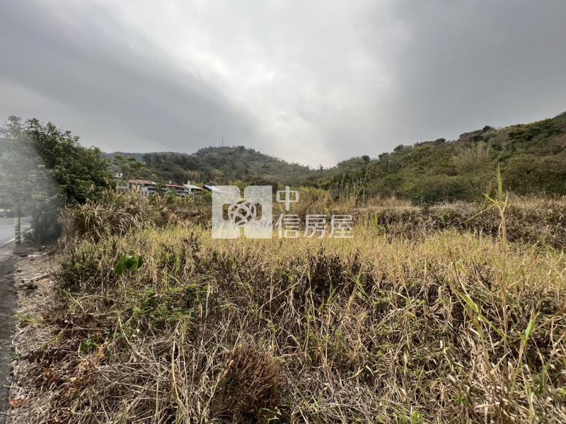 國姓丙建333房屋室內格局與周邊環境