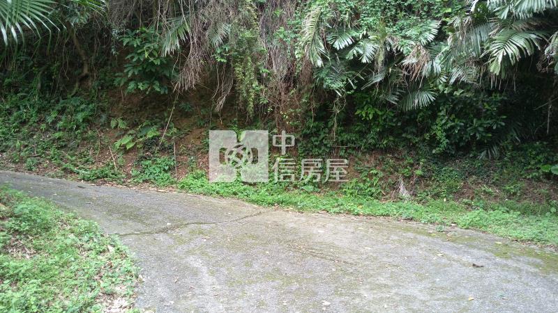 龍潭三和國小農保田房屋室內格局與周邊環境