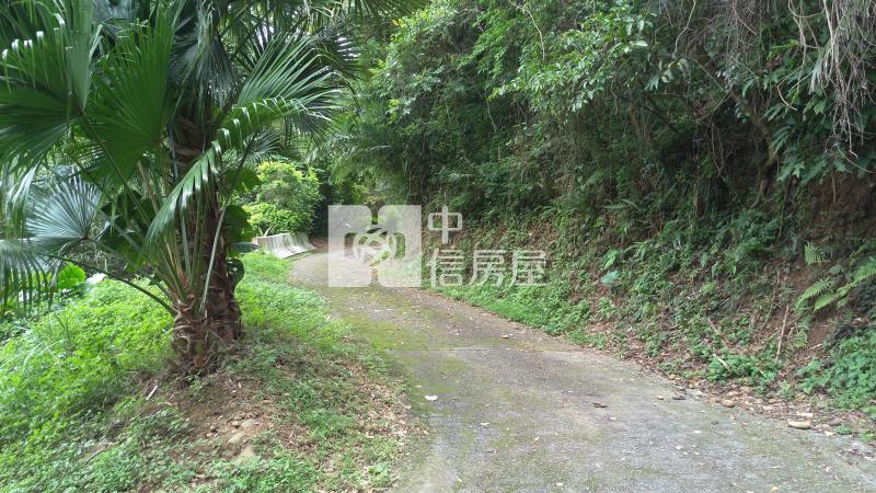 龍潭三和國小農保田房屋室內格局與周邊環境