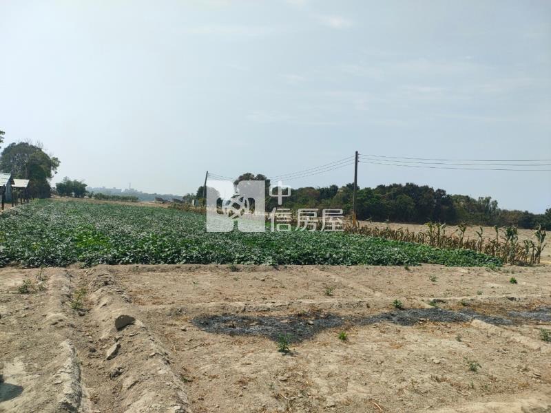 仁德中洲增值農地房屋室內格局與周邊環境