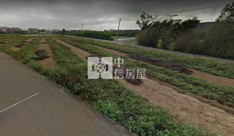 觀音育仁段雙面臨路農地房屋室內格局與周邊環境