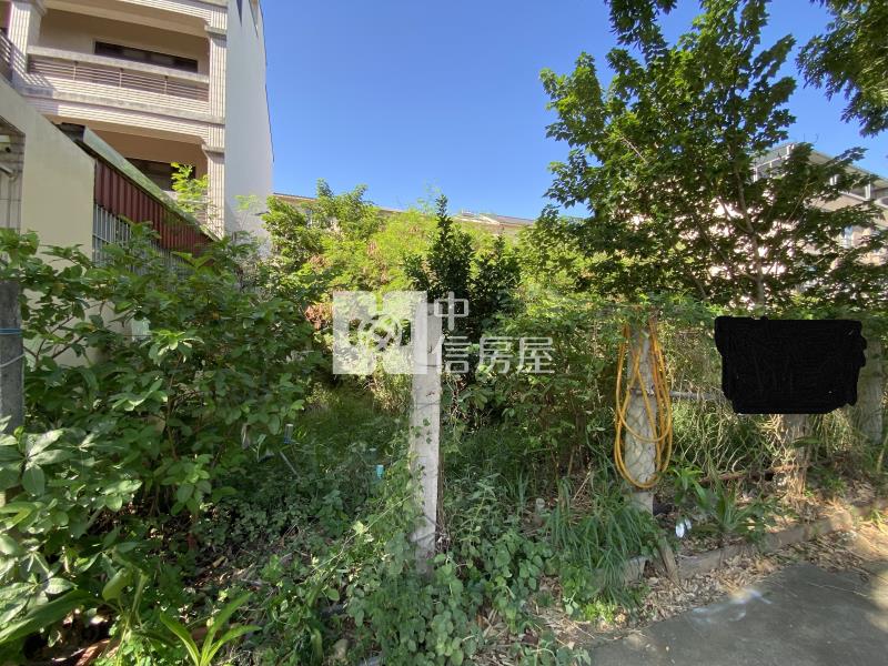 青埔建地(本區開價最低)房屋室內格局與周邊環境