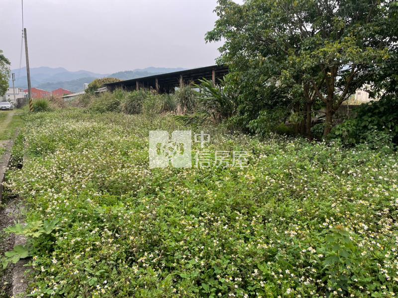 公館合法農舍+建地房屋室內格局與周邊環境