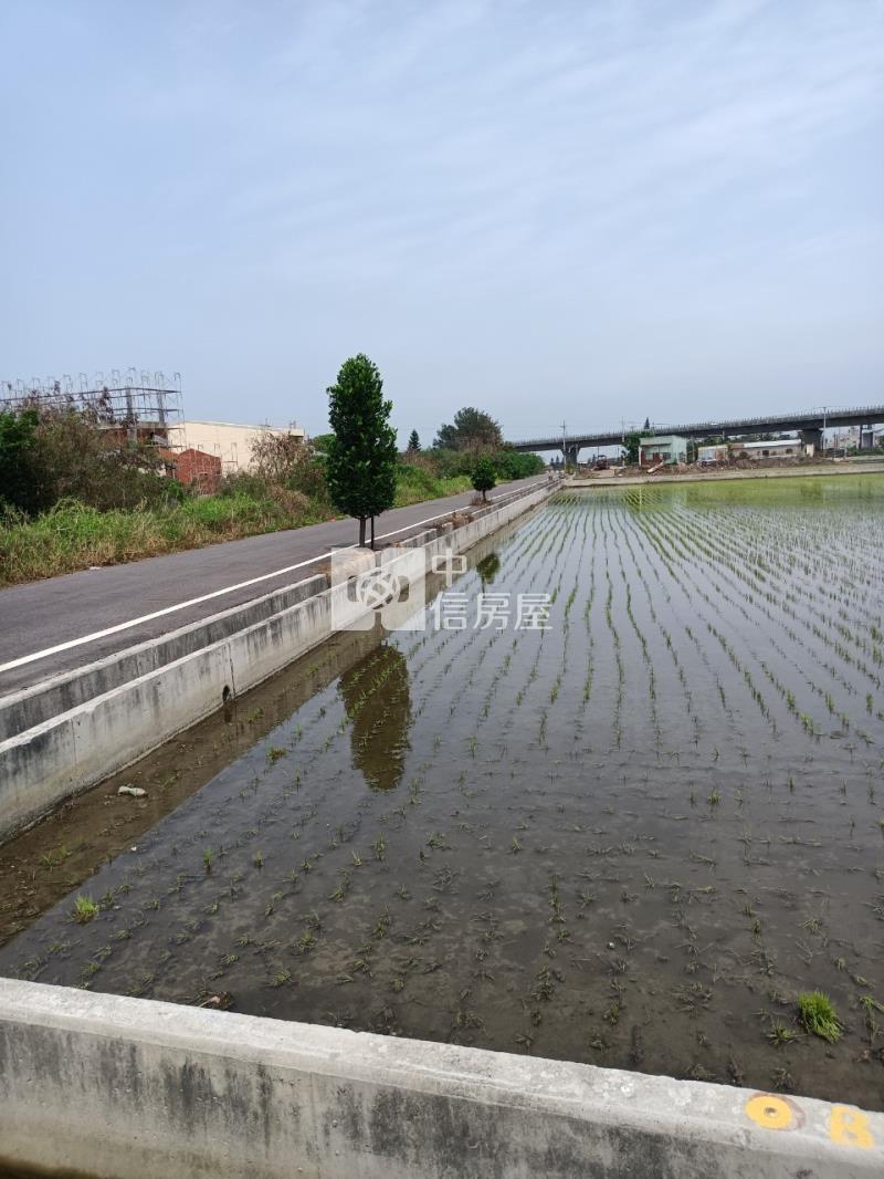 新麥寮段優質農地房屋室內格局與周邊環境