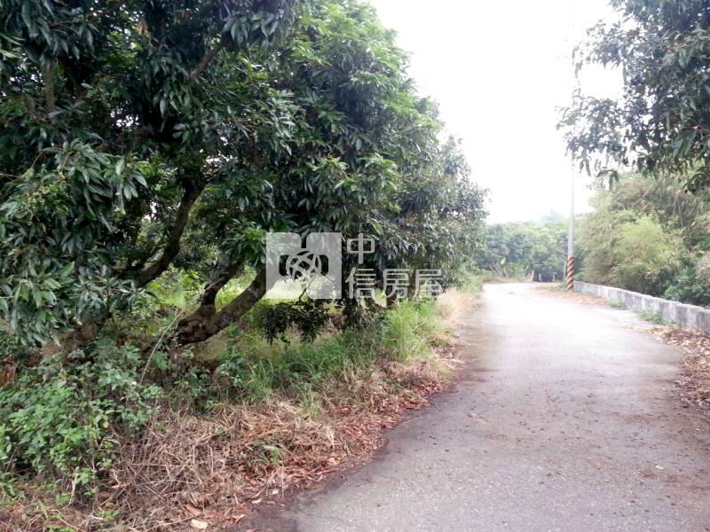 新化那拔林優質農地房屋室內格局與周邊環境