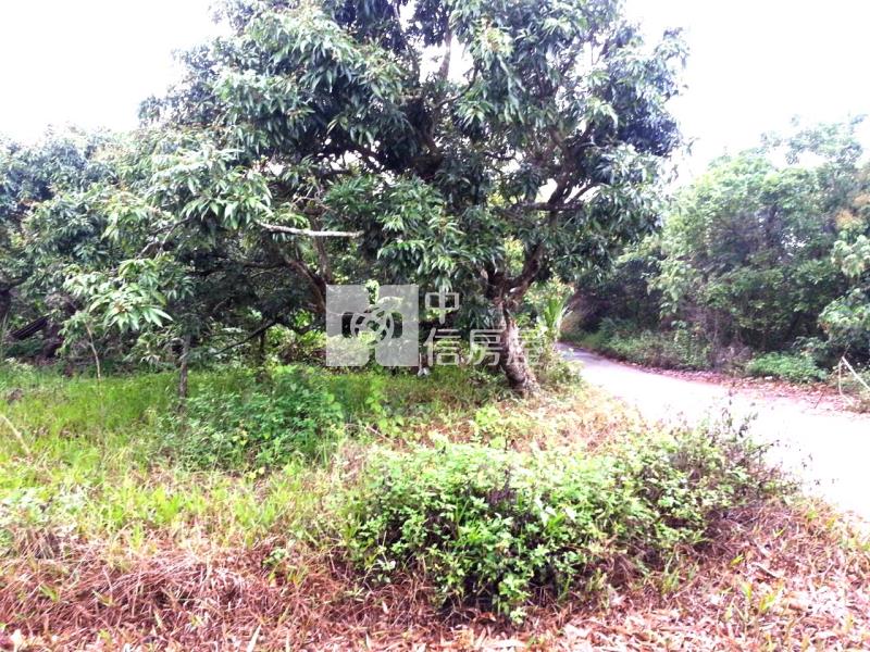 新化那拔林優質農地房屋室內格局與周邊環境