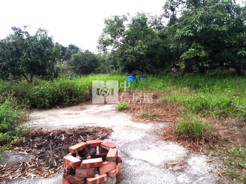 新化那拔林優質農地房屋室內格局與周邊環境
