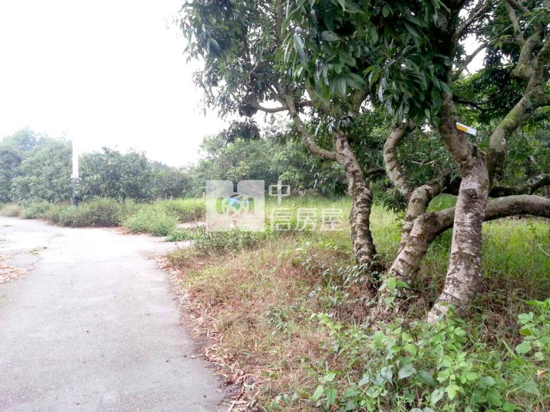 新化那拔林優質農地房屋室內格局與周邊環境