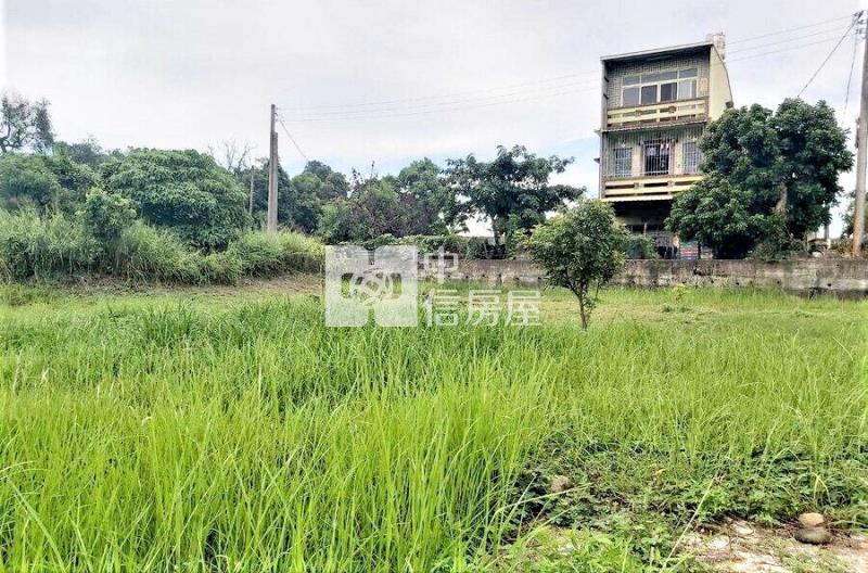 大樹景觀建地-B區房屋室內格局與周邊環境