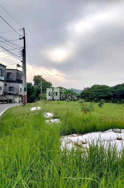大樹景觀建地-C區房屋室內格局與周邊環境