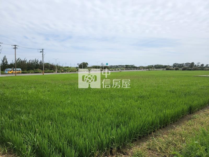 新屋笨港國小一般農房屋室內格局與周邊環境