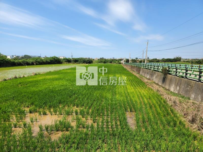 觀音-台66線一般農(三面路)房屋室內格局與周邊環境