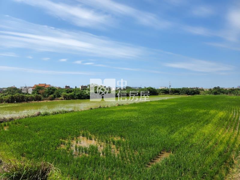 觀音-台66線一般農(三面路)房屋室內格局與周邊環境