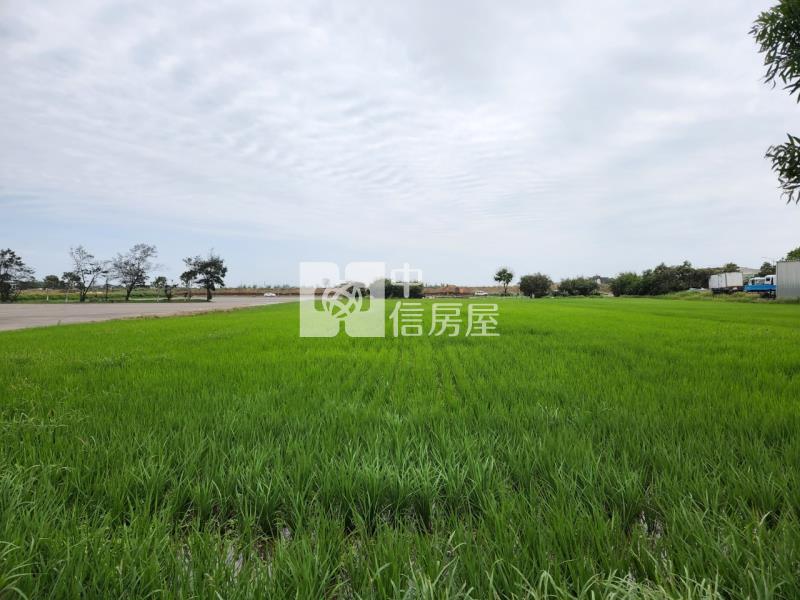 新屋正東興路大面寬農地房屋室內格局與周邊環境