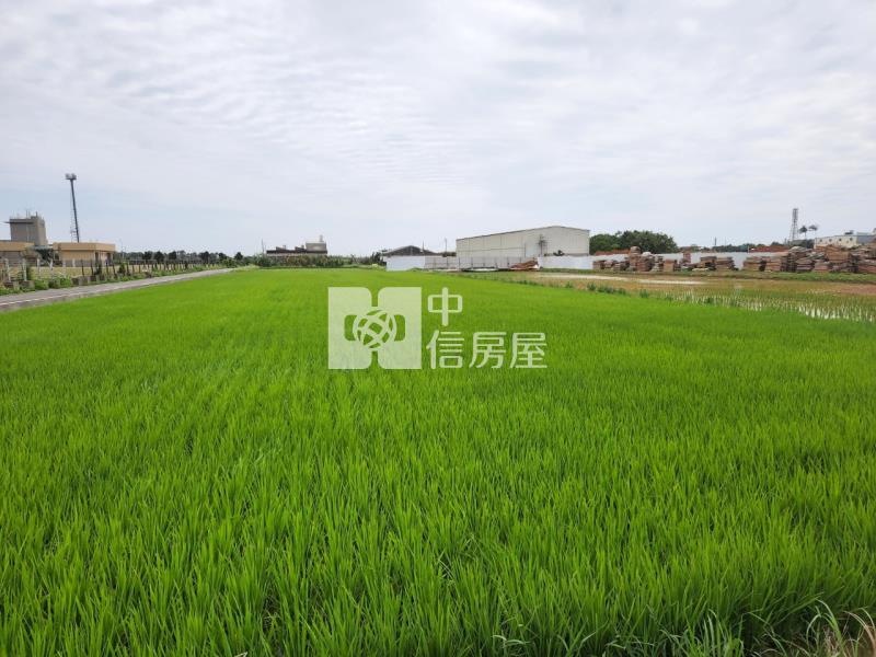 新屋正東興路大面寬農地房屋室內格局與周邊環境