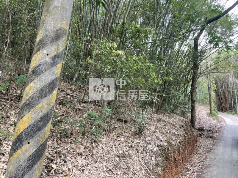 北港溪山坡地房屋室內格局與周邊環境