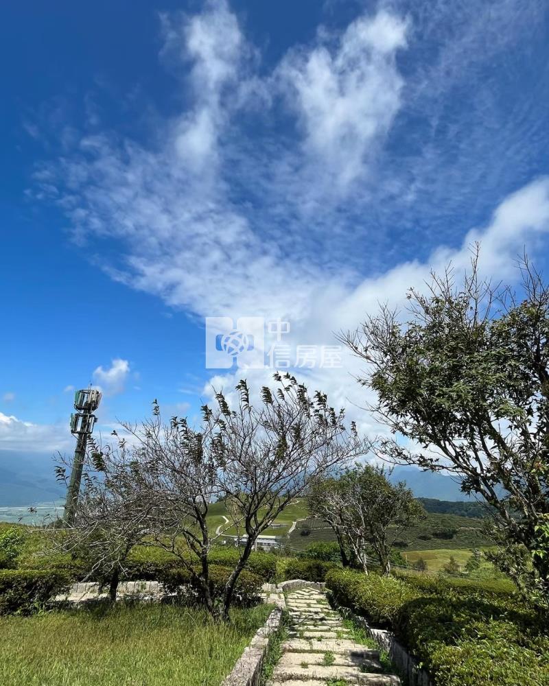 6Q03富里民宿房屋室內格局與周邊環境