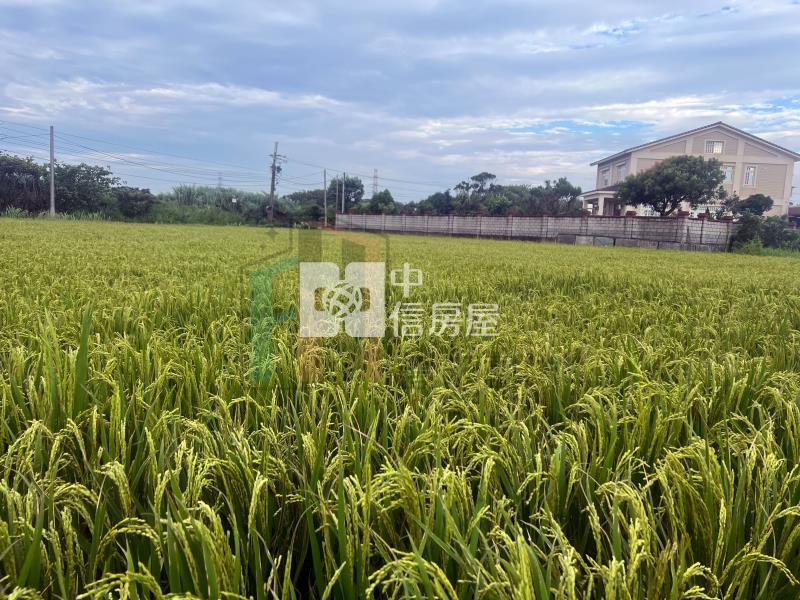 【豐禾】楊梅楊湖路二段美農地房屋室內格局與周邊環境