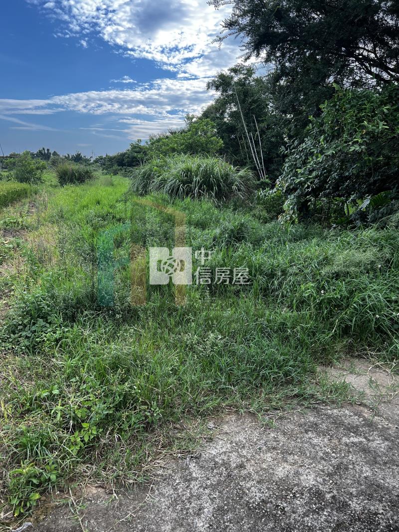 【豐禾】楊梅楊湖路二段美農地房屋室內格局與周邊環境