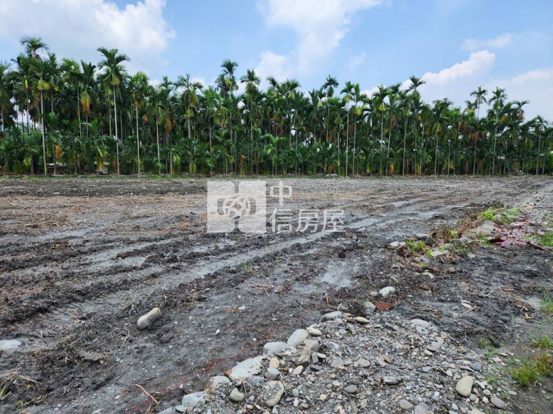 內埔黎明農地3分房屋室內格局與周邊環境