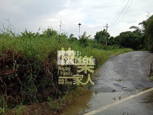 玉井台三線果樹農地房屋室內格局與周邊環境