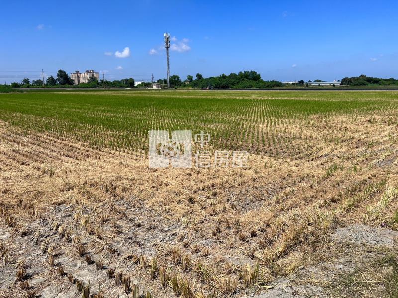 崙背貓兒干農地房屋室內格局與周邊環境