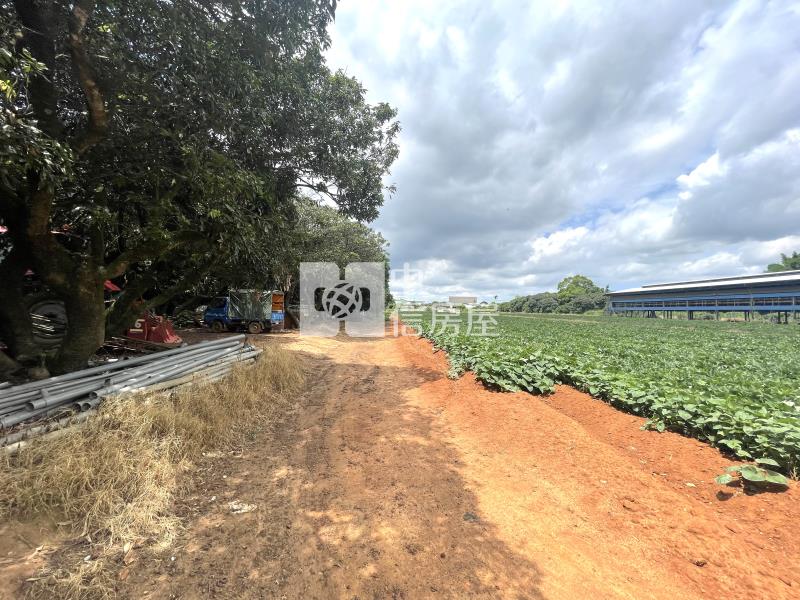 神岡平坦農地房屋室內格局與周邊環境