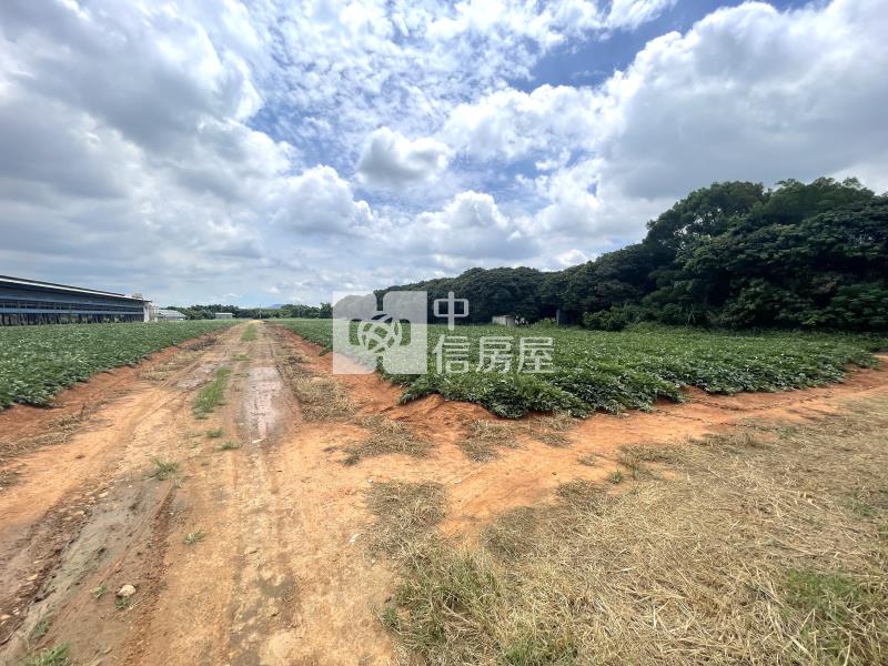 神岡平坦農地房屋室內格局與周邊環境