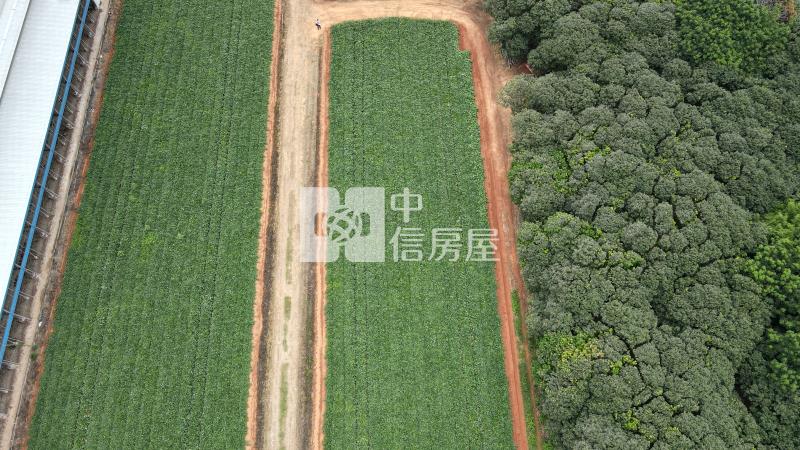 神岡平坦農地房屋室內格局與周邊環境