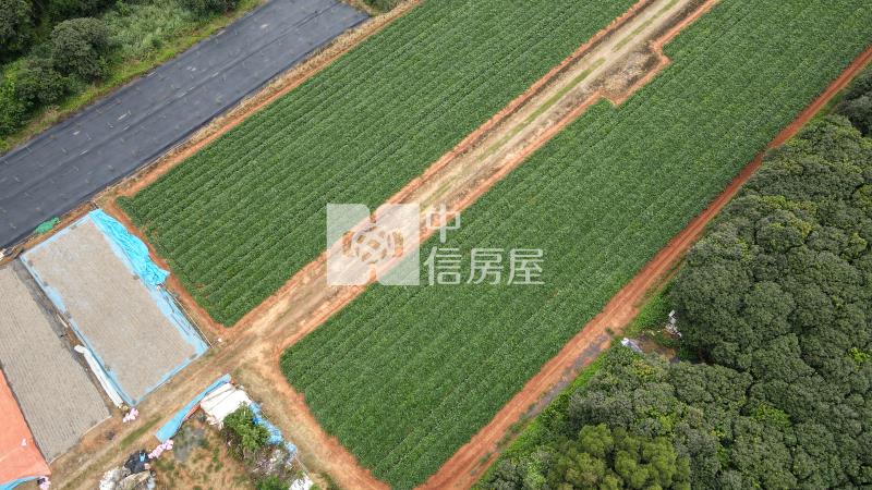 神岡平坦農地房屋室內格局與周邊環境