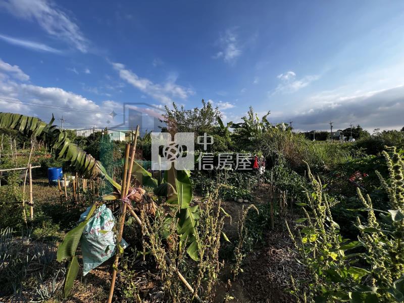 【豐禾】楊梅高榮66旁農地房屋室內格局與周邊環境