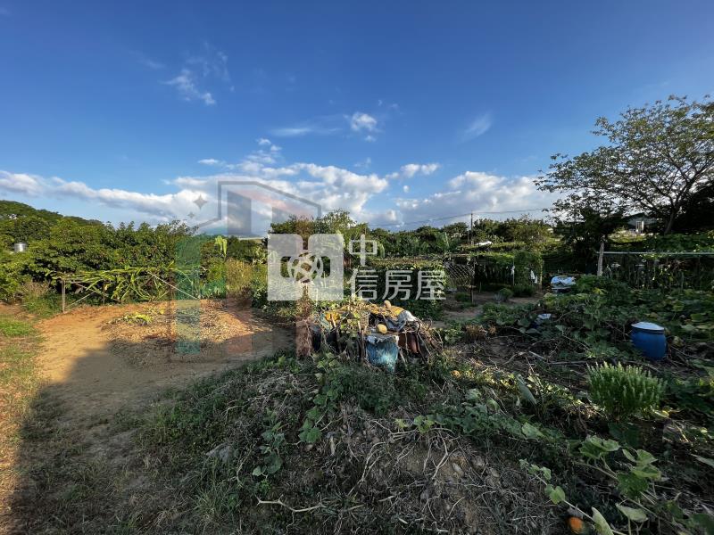 【豐禾】楊梅高榮66旁農地房屋室內格局與周邊環境