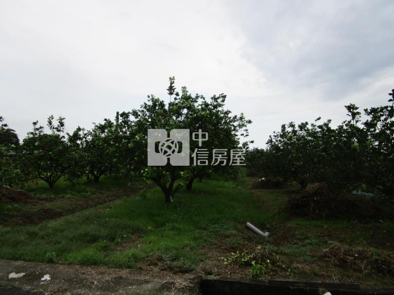 下營消防局旁2分柚子園房屋室內格局與周邊環境
