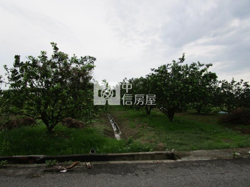 下營消防局旁2分柚子園房屋室內格局與周邊環境