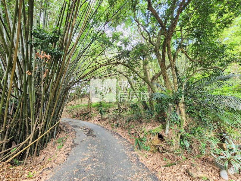 東山路旁都計內農地房屋室內格局與周邊環境