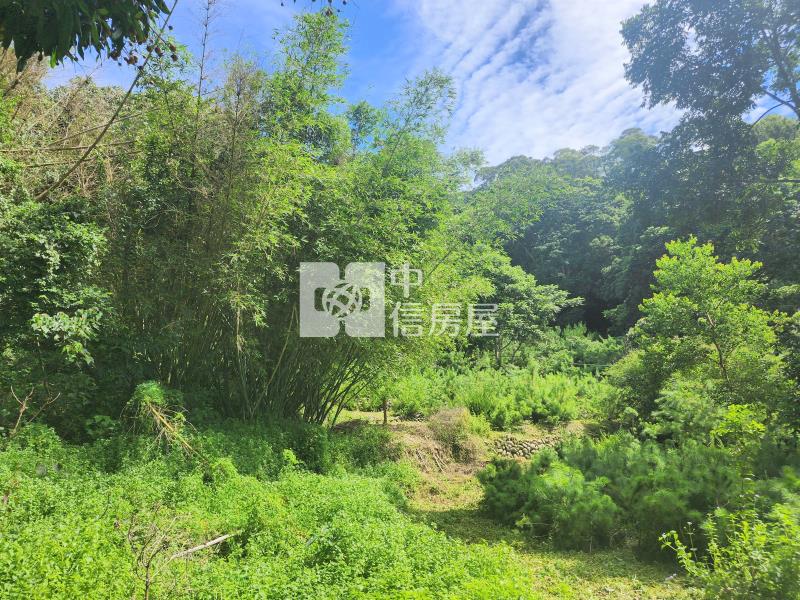 東山路旁都計內農地房屋室內格局與周邊環境