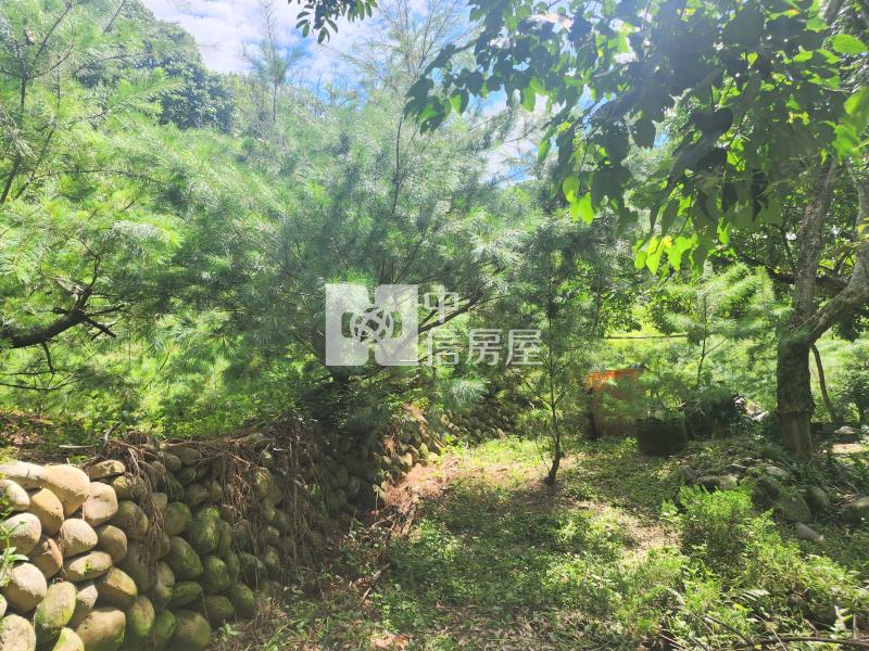 東山路旁都計內農地房屋室內格局與周邊環境