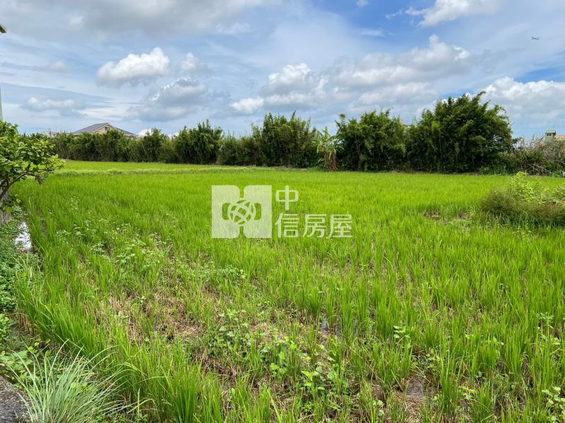 合法農舍+農地房屋室內格局與周邊環境