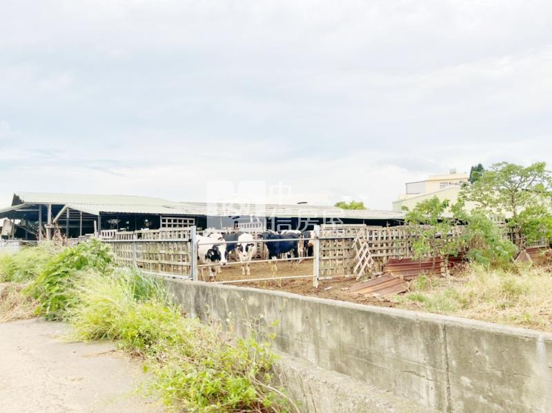 楊梅上湖段美田房屋室內格局與周邊環境