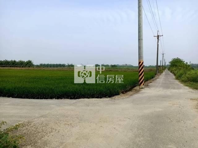善化區台19甲方正美農地房屋室內格局與周邊環境