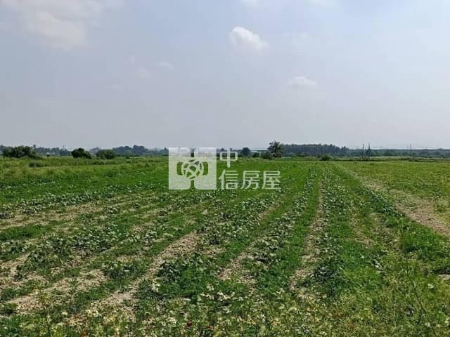 善化區台19甲方正美農地房屋室內格局與周邊環境