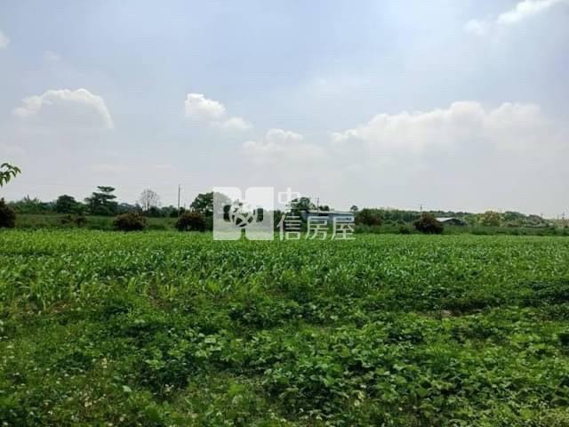 善化區台19甲方正美農地房屋室內格局與周邊環境